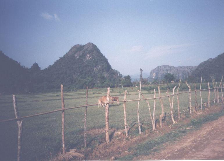 vang vieng