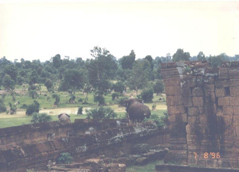 Angkor Wat