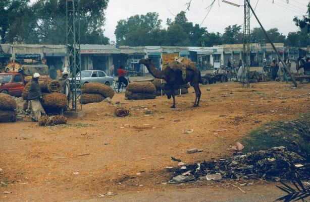 Pakistan Life(2)